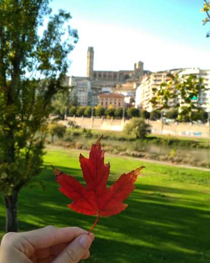 Paula Mallada Farreny