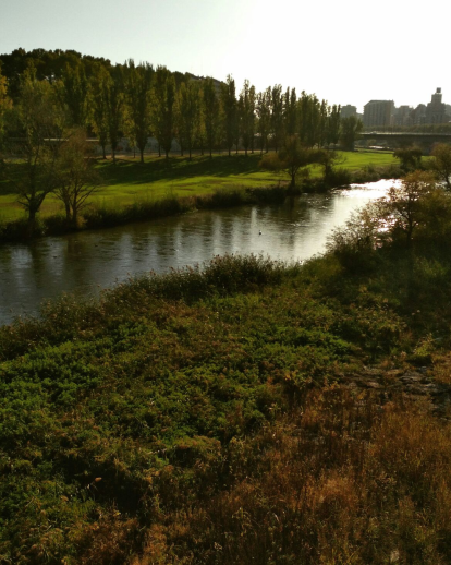 Paula Mallada Farreny