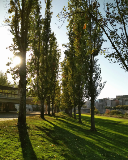 Paula Mallada Farreny