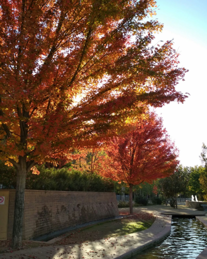 Paula Mallada Farreny