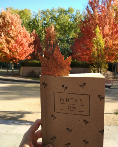 Paula Mallada Farreny