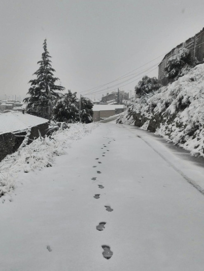 El fred, la boira i la neu... l'hivern ja és aquí!