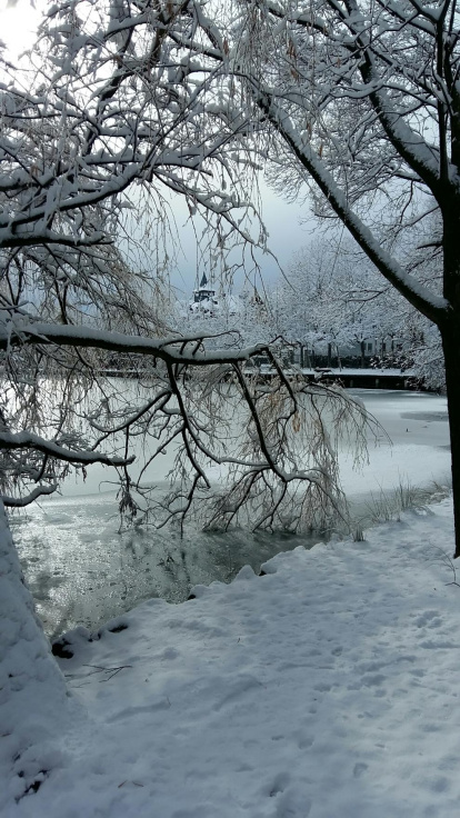 El fred, la boira i la neu... l'hivern ja és aquí!