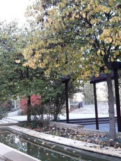 Les fulles cauen, arriba la boira i comença a fer fred.