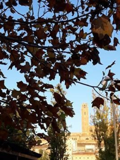 Les fulles cauen, arriba la boira i comença a fer fred.