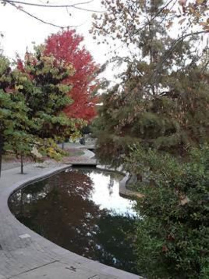 Les fulles cauen, arriba la boira i comença a fer fred.