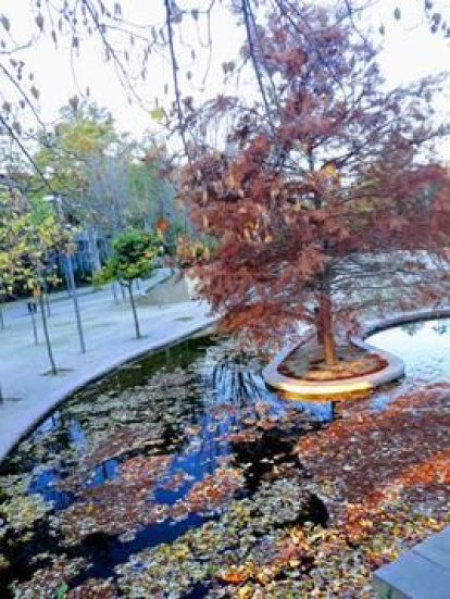 Les fulles cauen, arriba la boira i comença a fer fred.