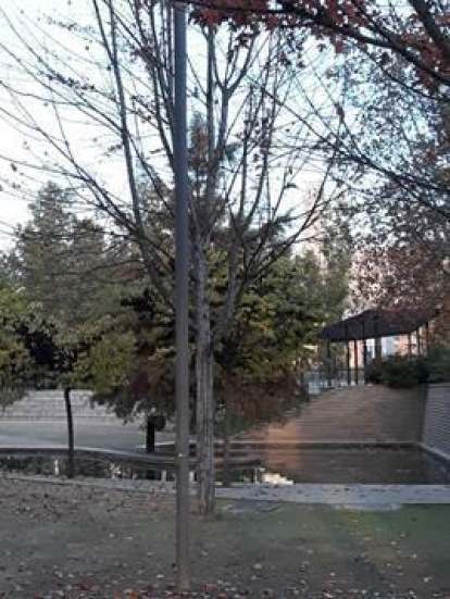 Les fulles cauen, arriba la boira i comença a fer fred.