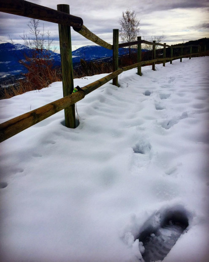 El fred, la boira i la neu... l'hivern ja és aquí!