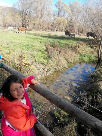 Les fulles cauen, arriba la boira i comença a fer fred.