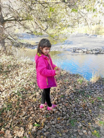 Les fulles cauen, arriba la boira i comença a fer fred.