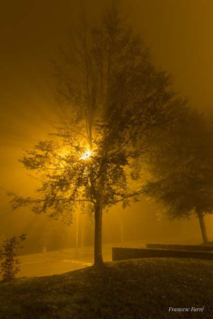 Les fulles cauen, arriba la boira i comença a fer fred.
