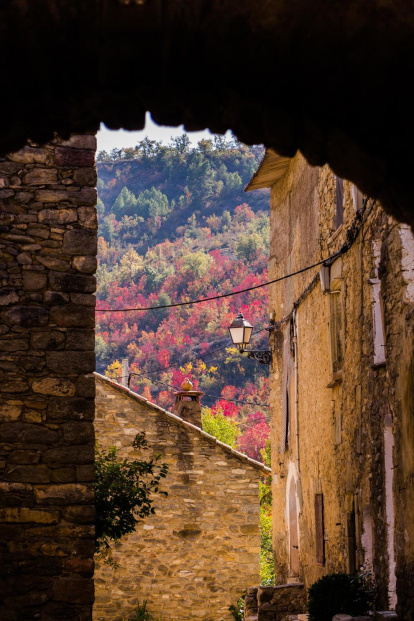 Les fulles cauen, arriba la boira i comença a fer fred.