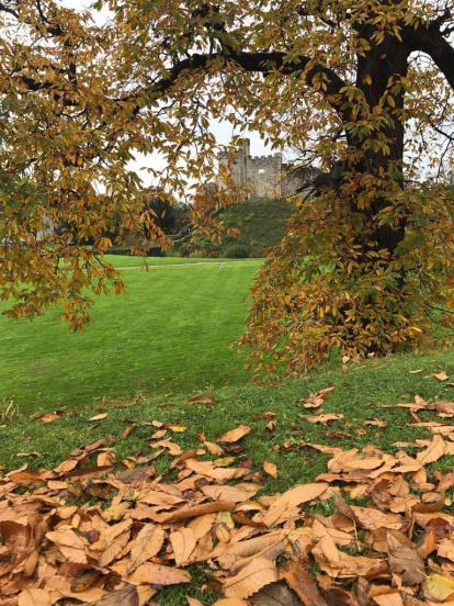 Les fulles cauen, arriba la boira i comença a fer fred.