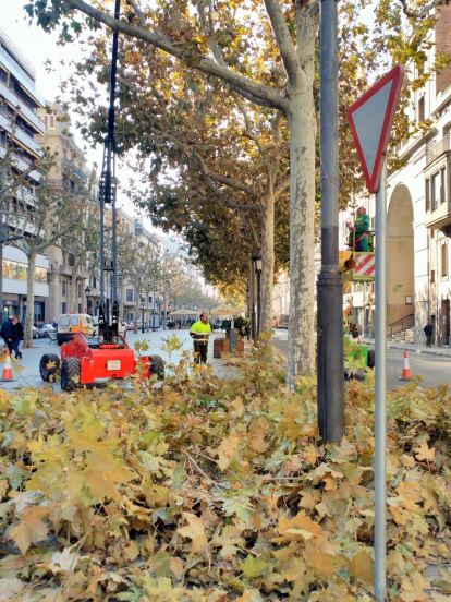 Les fulles cauen, arriba la boira i comença a fer fred.