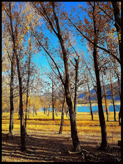 Les fulles cauen, arriba la boira i comença a fer fred.