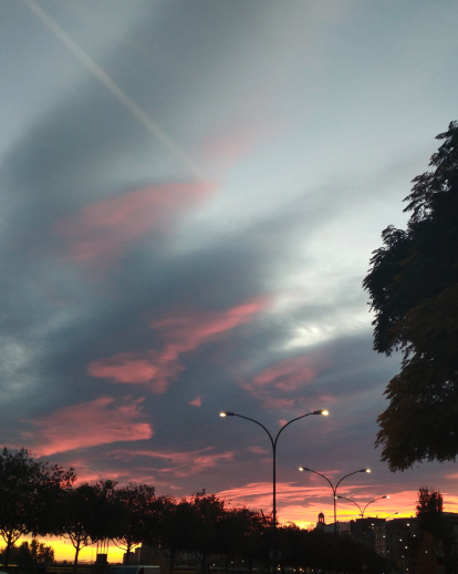 Paula Mallada Farreny