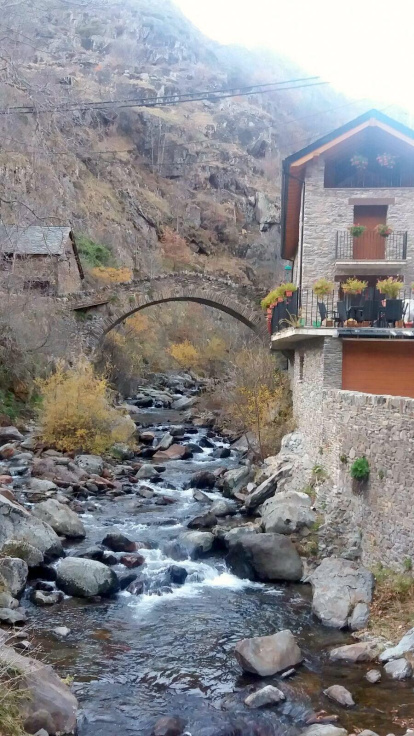 Les fulles cauen, arriba la boira i comença a fer fred.