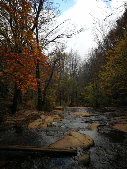 Les fulles cauen, arriba la boira i comença a fer fred.