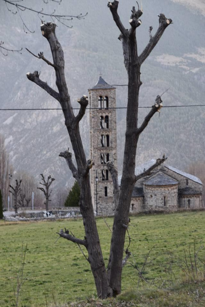 Les fulles cauen, arriba la boira i comença a fer fred.