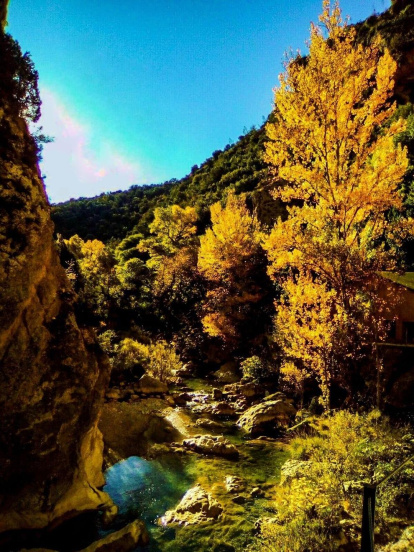 Alba Mascarella Guitart