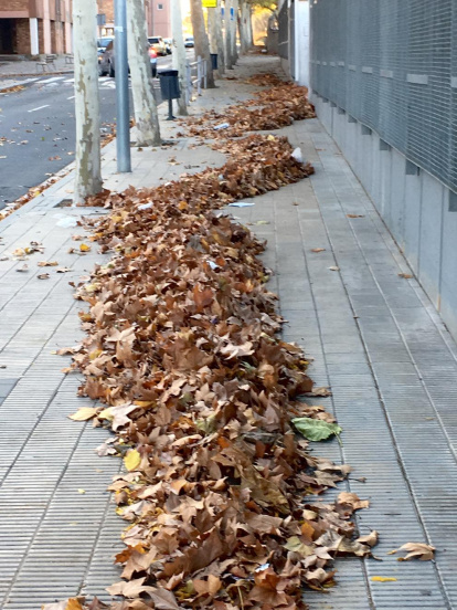 Les fulles cauen, arriba la boira i comença a fer fred.