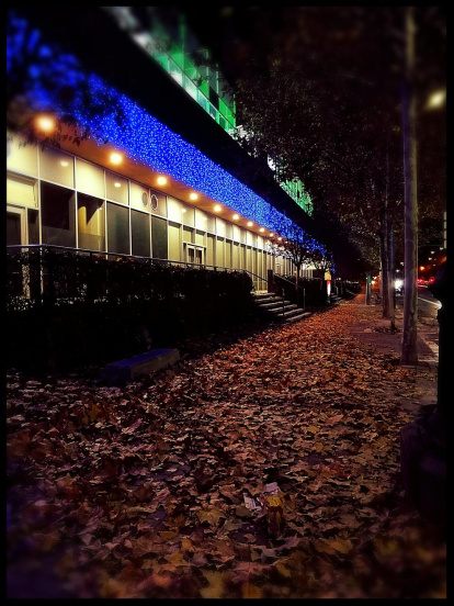 Les fulles cauen, arriba la boira i comença a fer fred.