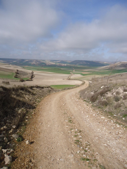 Manel Fregola Navarro