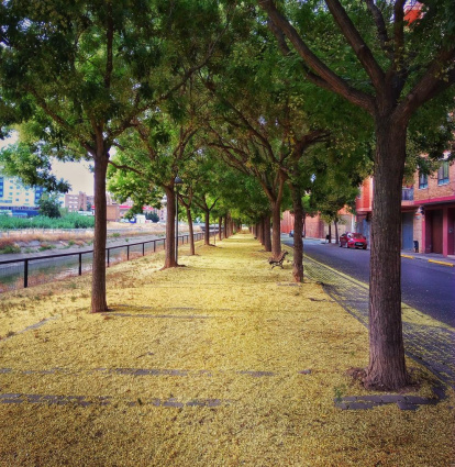 La calor, les tempestes, el paisatge groc i sec.