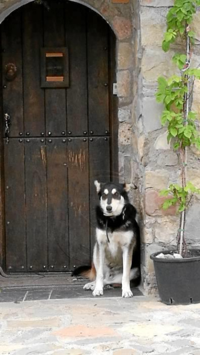 La calor, les tempestes, el paisatge groc i sec.