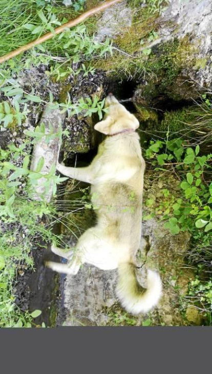 La calor, les tempestes, el paisatge groc i sec.