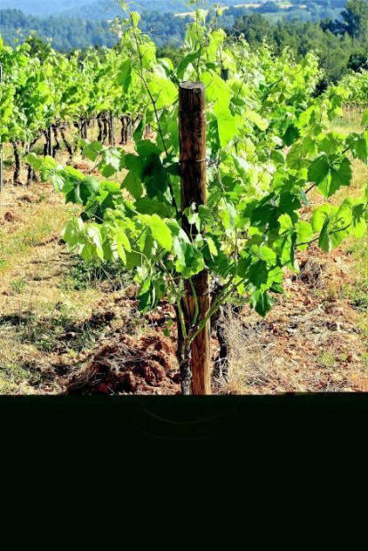 La calor, les tempestes, el paisatge groc i sec.