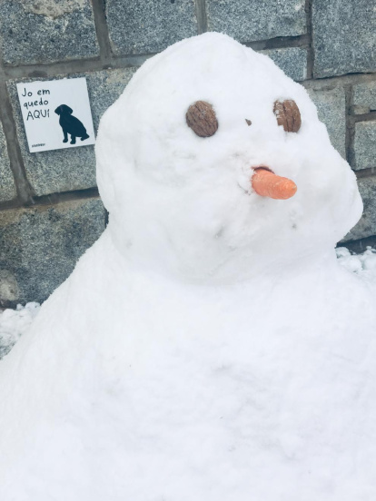 Fotos de cartells, senyals de trànsit o notificacions divertides.