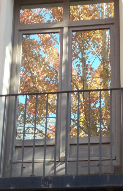 Les fulles cauen, arriba la boira i comença a fer fred...és la tardor!