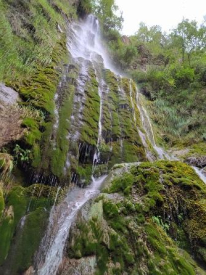 Elvira Balsas Martínez