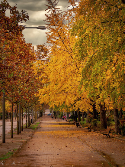 Francisco Acosta Andrés