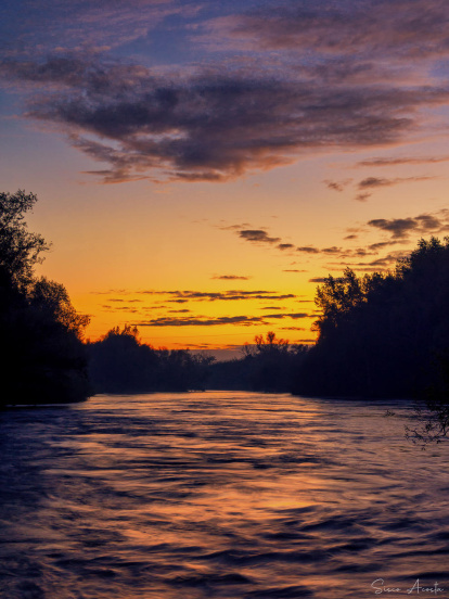 Francisco Acosta Andrés