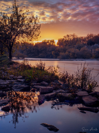 Francisco Acosta Andrés