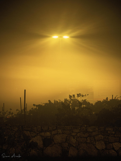 Francisco Acosta Andrés