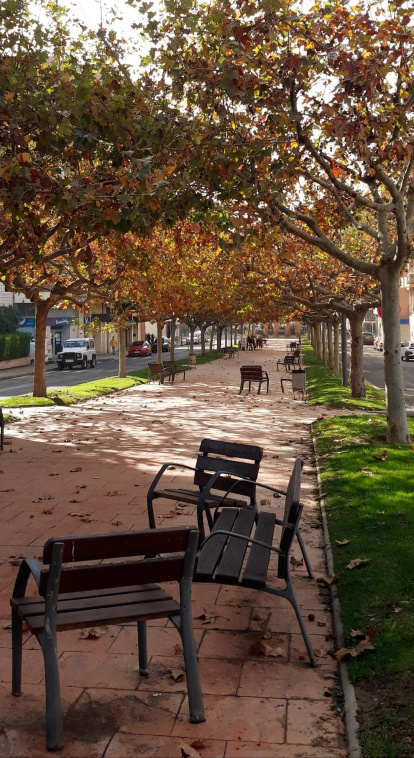 Sandra Godia Torrente