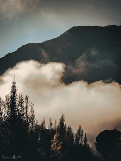 Francisco Acosta Andrés