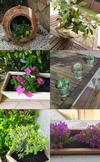 Arbres florits, camps verds i bon temps...ja és aquí la primavera!