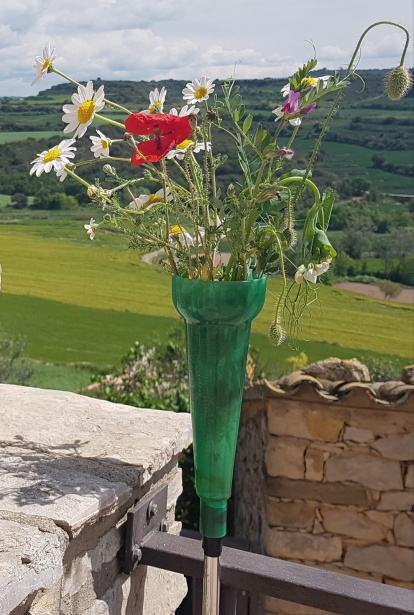 Arbres florits, camps verds i bon temps...ja és aquí la primavera!