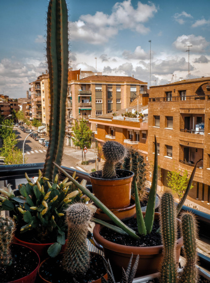 Francisco Acosta Andrés