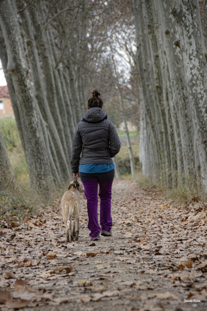 Les fulles cauen, arriba la boira i comença a fer fred...és la tardor!