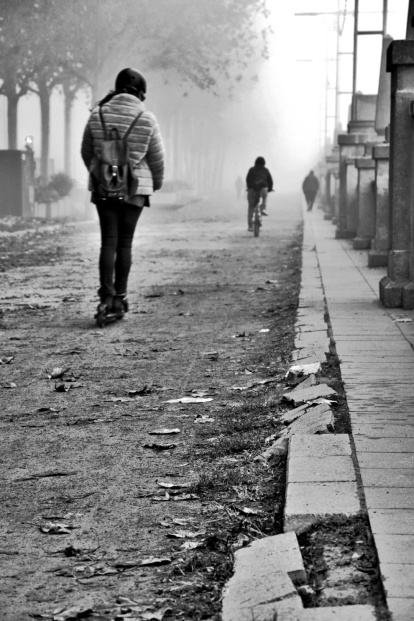 Les fulles cauen, arriba la boira i comença a fer fred...és la tardor!