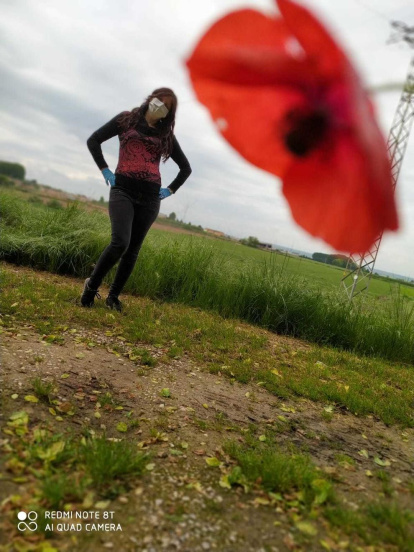 Arbres florits, camps verds i bon temps...ja és aquí la primavera!