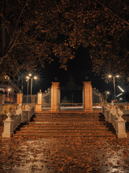 Les fulles cauen, arriba la boira i comença a fer fred...és la tardor!
