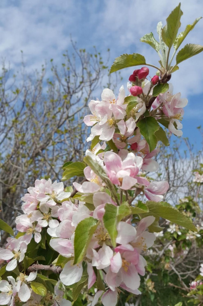 Lurdes Leandro Andreu