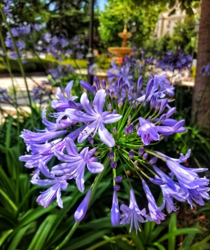 Envia'ns fotos relacionades amb l'estiu i guanya una estada a l'Hotel Estanys Blaus de Tavascan.